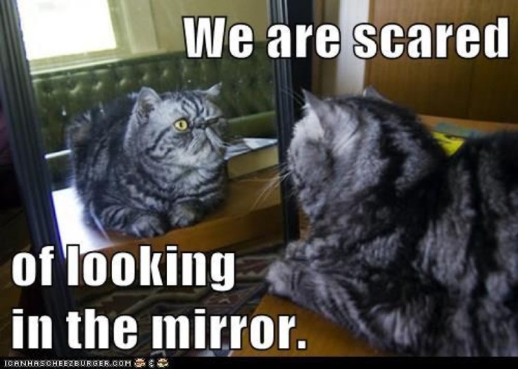 Meme by Laura Gibbs in response to a previous post of mine.